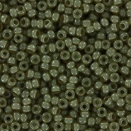 Miyuki seed beads 11/0 - Ceylon translucent celery 11-2374
